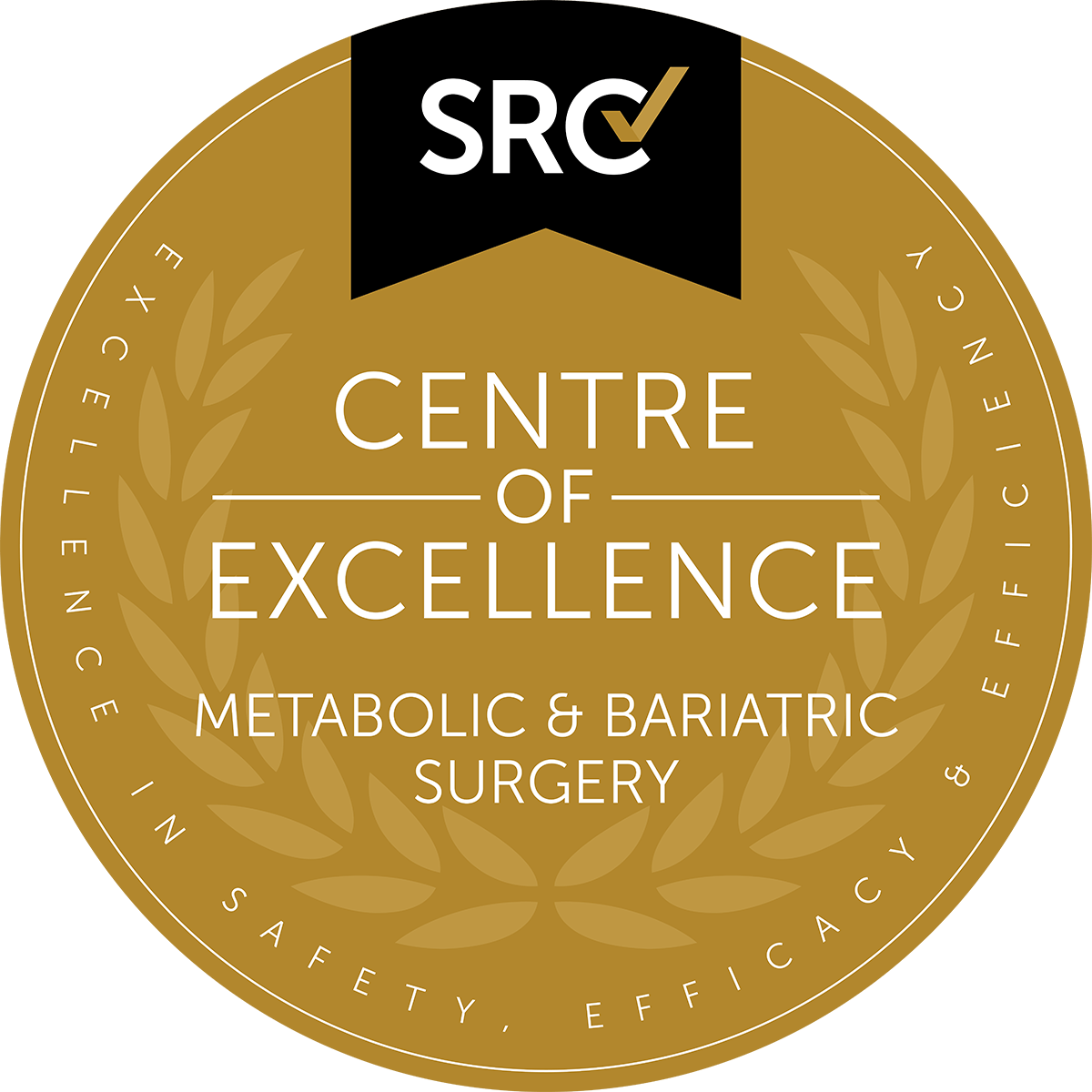 Centre of Excellence, Metabolic and Bariatric Surgery Award